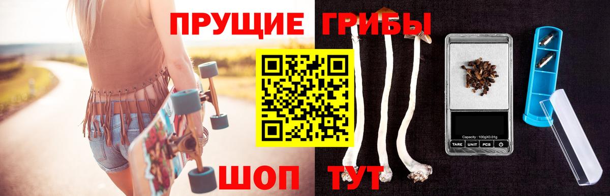 Людиново  магазин  наркотиков  Вход с VPN  Псилоцибиновые грибы Psilocybine cubensis 